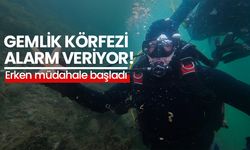 Gemlik Körfezi'nde müsilaja karşı erken müdahale başladı