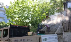 İzmir Karabağlar’da haşerelere karşı ilaçlama seferberliği 