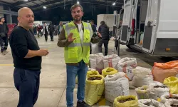 Düzce'nin tescilli lezzeti kuzu kestanesi pazara indi!