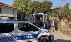 Bursa'da kestane kavgasında kan aktı!