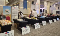 Kooperatiflere yeni hibe destekler geliyor... 'Enhancer Pro' başlıyor