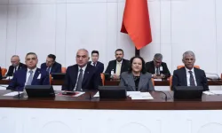 TBMM'de merkezi yönetim bütçesi görüşmeleri sürüyor