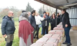 BAÇEM'in 2. Uygulamalı Arıcılık Kursu'na yoğun ilgi