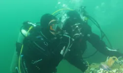 Kocaeli'de İzmit Körfezi artık nefes alıyor