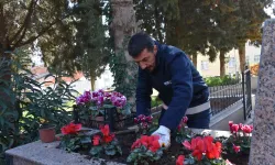 Gemlik'te şehitliklere titiz bakım