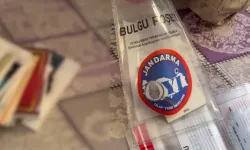 24 ilde DEAŞ operasyonu: 88 şüpheli yakalandı