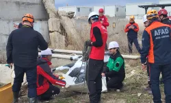 AFAD'dan uluslararası iş birliğiyle hayvan koruma projesi... RESQ-ANIMALS başladı