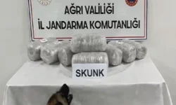 Ağrı'da 10 kilogram skunk ele geçirildi
