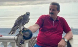 AK Parti Milletvekili Faruk Çelik, atmaca severlere müjdeledi... Artvin ve Rize'de geleneksel atmacacılığa hukuki güvence