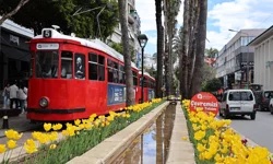 Antalya lalelerle görsel şölene dönüştü