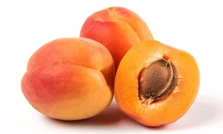 Bitkisel ürünlerde en yüksek yeterlilik kayısı ve zerdalide