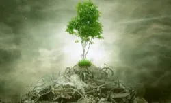 ÇED 'gerekli değil' kararı kaldırıldı! Yönetmelikle süreçler değişti