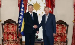 Cumhurbaşkanı Erdoğan, Beçiroviç'i Dolmabahçe'de ağırladı