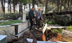 İzmir'de fırtınadan etkilenen mezarlıklara hızlı müdahale
