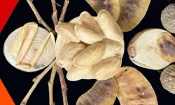 İzmit Oyuncak Müzesi'nde yaratıcı atölyeler sürüyor