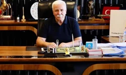 Kayseri Pınarbaşı'nda köpek katliamı