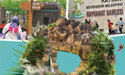 Kayseri'de hayvanat bahçesi ücretsiz