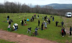 Kocaeli'de fidanlar engelsiz hayat için dikildi