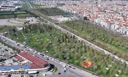 Manisa Turgutlu'da Irlamaz yenilendi, yeni projeler yolda