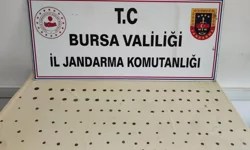 Mudanya Bademli'de tarihi eser operasyonu: 2 gözaltı