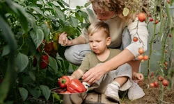 Sakarya'da çocuklar tarımın kaşifi olacak