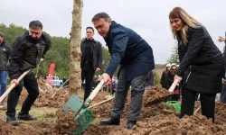 Şeyh Edebali'nin 700. yılında fidanlar toprakla buluştu