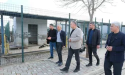 Adanalı veterinerlerden hayvan bakımevine inceleme