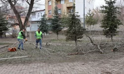 Ağrı'da park ve yeşil alanlarda yenileme çalışmaları