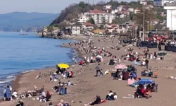 Akçakoca'da sahiller hareketlendi