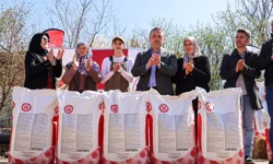 Bilecik'te çiftçilere ayçiçeği tohumu dağıtıldı