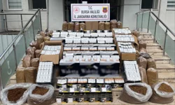 Bursa Gemlik'te kaçak tütün operasyonu