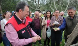 Bursa siyahı incirde sıkı denetim