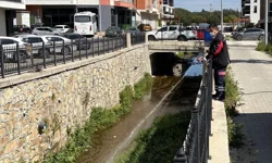 Haşereye karşı larvasit çözüm