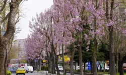 İstanbul Beylikdüzü'nde bakım ve yaz hazırlığı bir arada