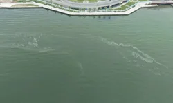 İzmir Körfezi'nde kirlilikte 10'uncu tespit