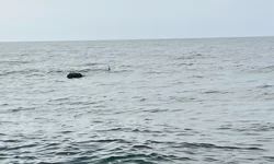 Karadeniz'deki şüpheli mayın SAS timlerince imha edildi!