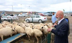 Kayseri Kocasinan'dan Türkiye'ye örnek 'kurban' ihalesi