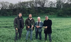 Keşan'da yağışlar verimi artırdı, hastalık riskini büyüttü