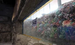 Kocaeli 'akvaryum' için geri sayım başladı... 30 farklı akvaryum eşsiz gezi yaşatacak