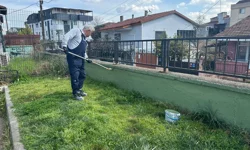 Kocaeli Çayırova'daki parkların duvarlarında bakım çalışması