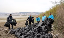 Kocaeli'de ekipler 50 torba atığı doğadan uzaklaştırdı