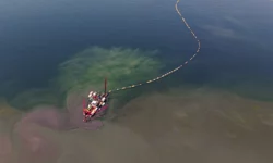 Kocaeli'nin çevre projesi deniz canlılarını canlandırdı