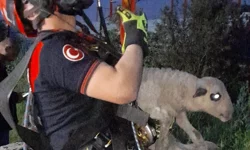 Kuyuya düşen kuzuya İzmir İtfaiyesi'nden nefes kesen kurtarma