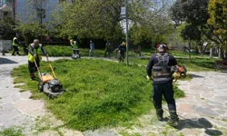 Maltepe'nin parklarında yaz hazırlığı