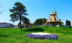 Sakarya'da baharın büyüleyici cümbüşü