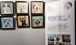 Sanatın iyileştirici gücü bu kez umutla buluşuyor