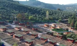 Tarım arazileri için yeni dönem! Amaç dışı kullanıma sıkı denetim