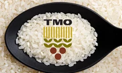 TMO: Tüm pirinçler yerli üreticiden