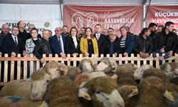Trakya'nın ilk Küçükbaş Hayvancılık Festivali Malkara'da coşkuyla başladı