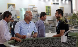 Zeytinin zirvesi İzmir'de kuruluyor